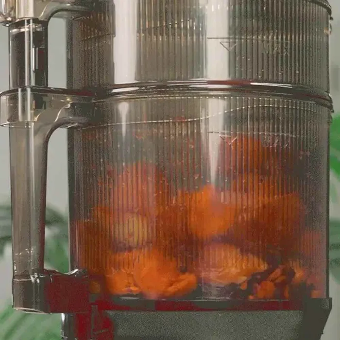 Die 4,5-Liter-Einfüllkammer des AUTO10S Plus gefüllt mit ganzen Karotten