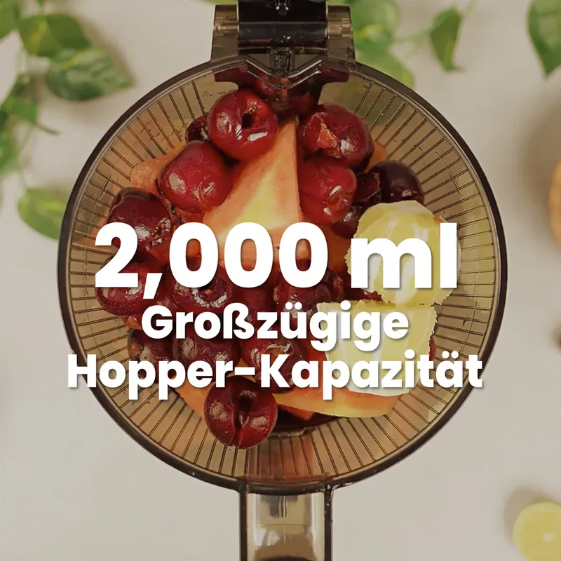 Die 2-Liter-Einfüllkammer des Kuvings AUTO8